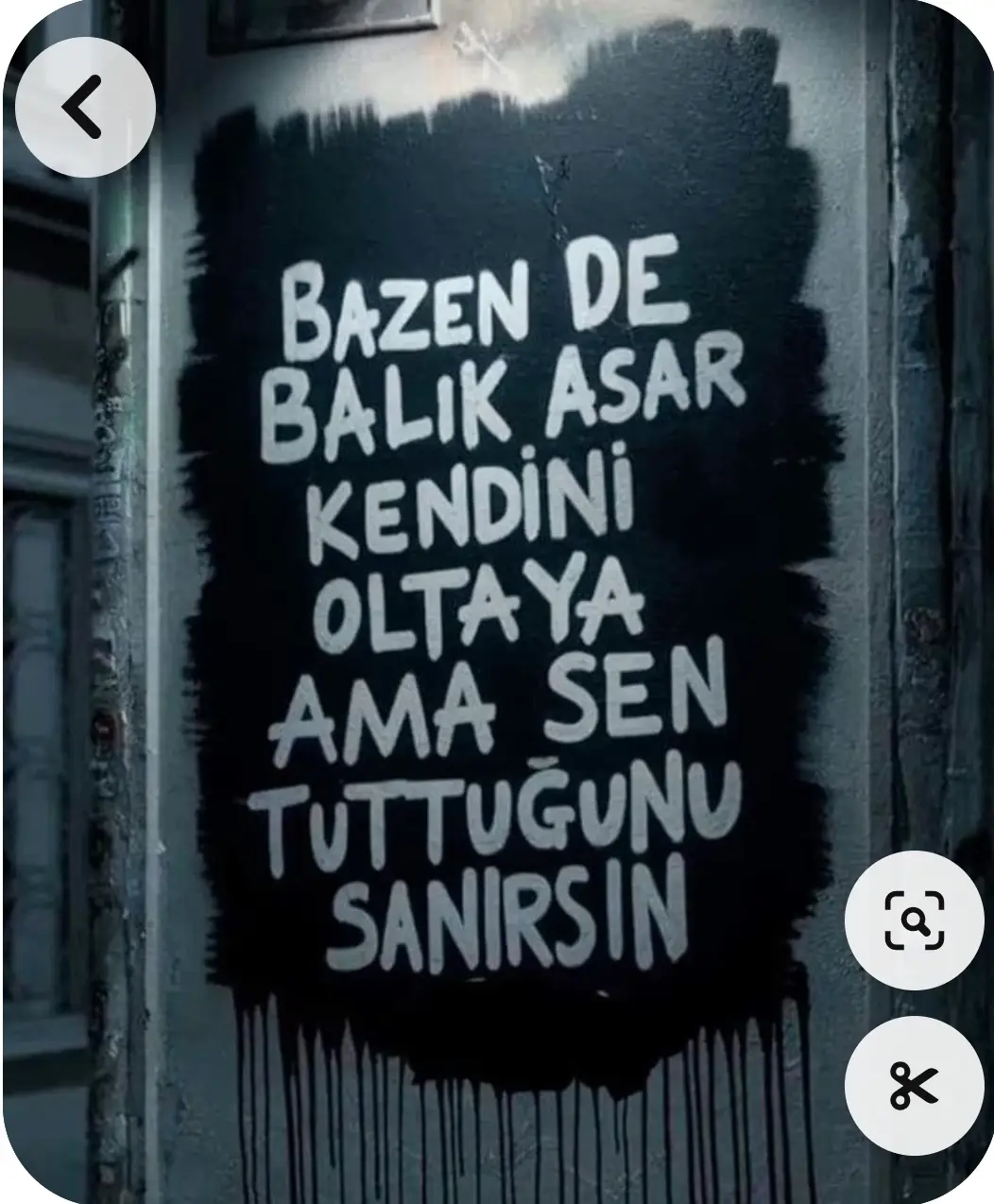 Dudo Meyhane duvar yazısı: Bazen de balık asar kendini oltaya ama sen tuttuğunu sanırsın
